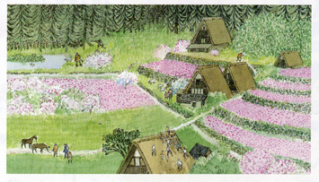 安野光雅「旅の絵本」 日本の原風景を描く